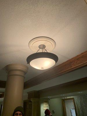 Lobby light full of bugs