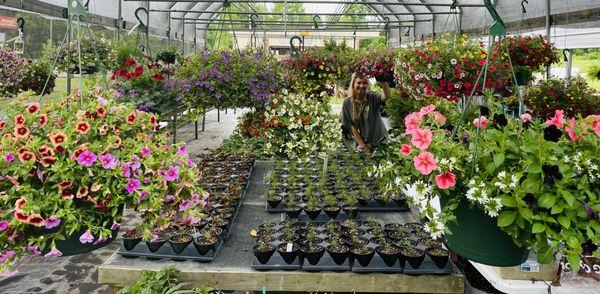 Healthy plants and knowledgeable staff