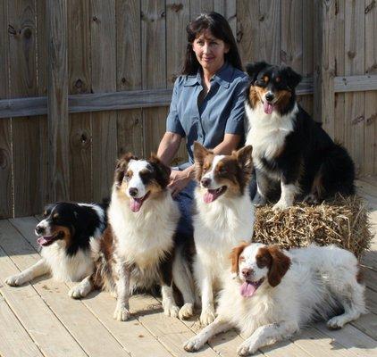 SAMS Dog Training Center