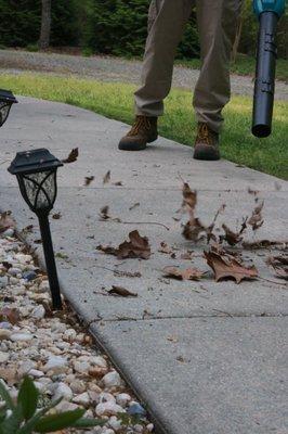 The Green Guys Eco Friendly Lawn Care