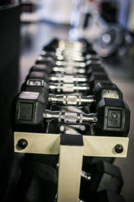 Free Weights 2lbs-120lbs.