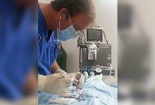 The Old 41 Animal Hospital