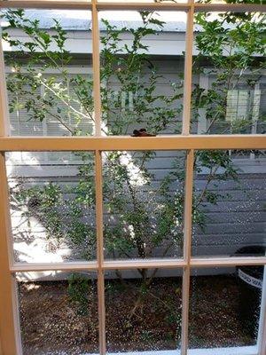 Clean Windows In The Florida Keys