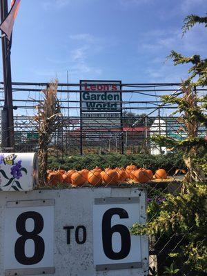 Leon's Garden World LLC