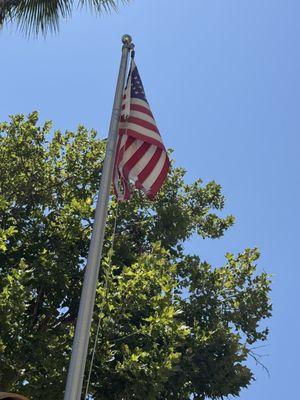 Torn tattered American flag