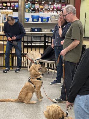 SIRIUS Puppy & Dog Training