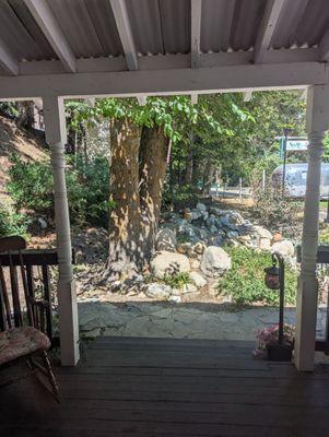 Reigning Pages Book Shoppe