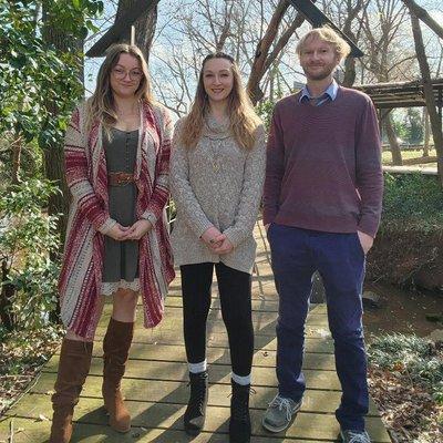 Limitless Insurance Group