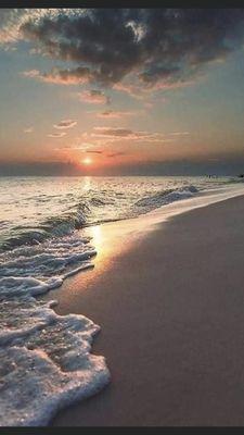 Sheri Perlman Law Offices