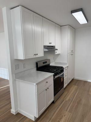 Remarkable Remodeling