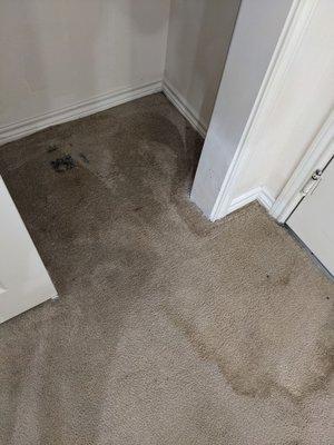 4th A/C flood in closet at Villa De San Antonio