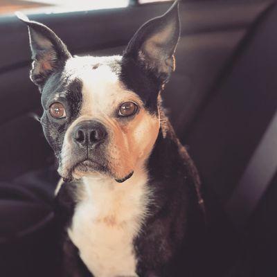 7th Heaven CBD and More