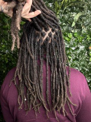 The Moon Sage Studio