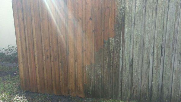 Royall Cleaning Handyman Services