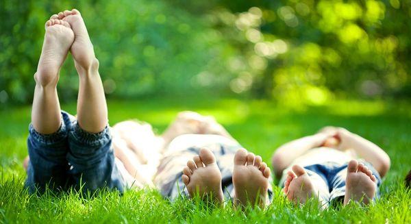 Reclaim your backyard!