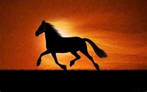 Morningstar Insurance Brokers