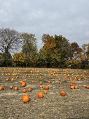 Waterman's Family Farm