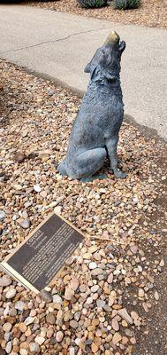 Kansas Wesleyan University