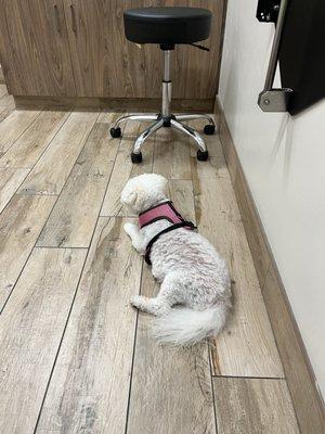 Zion Veterinary Hospital