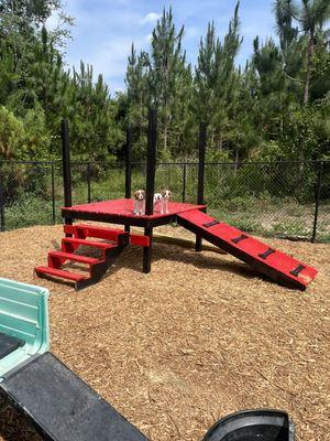 Southern Pine Kennels