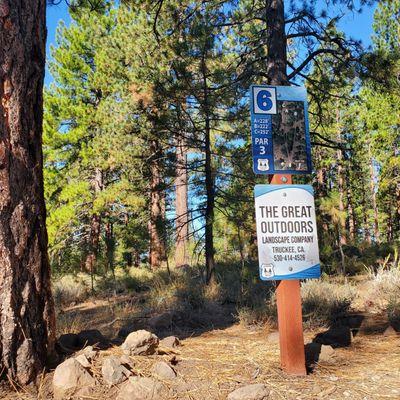 Professional Disc Golf Association