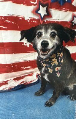 Snoqualmie Valley Pet Parlor