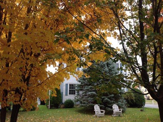 Williston Village Inn