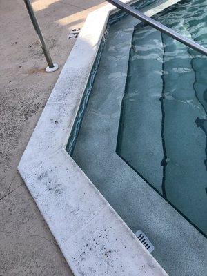 Stoll Manor Mobile Home Park