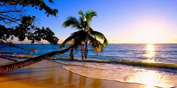 Paradise Limo of Central Florida