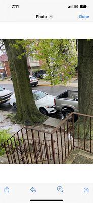 Chop & Chip Tree Service