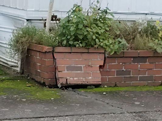 Elizaldes Construction and Maintenance