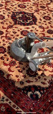 Lasting Image Maintenance Service