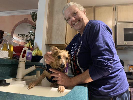 San Diego County Animal Shelter