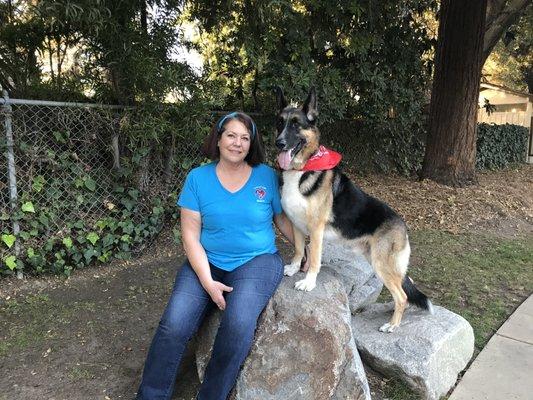 Love of Dogs Training