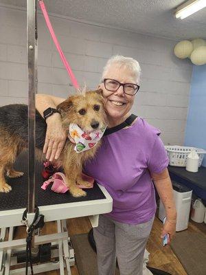 Someone just got some dog grooming the other day @ So Fetch!