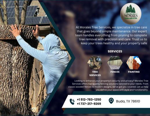 Morales Tree Services