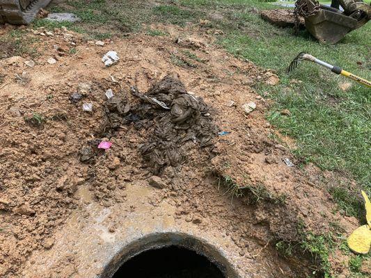 Taylor Plumbing & Septic Service