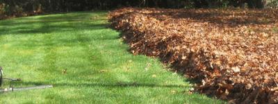 DePaolo and Gagne Landscaping