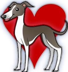 ROMP Italian Greyhound Rescue