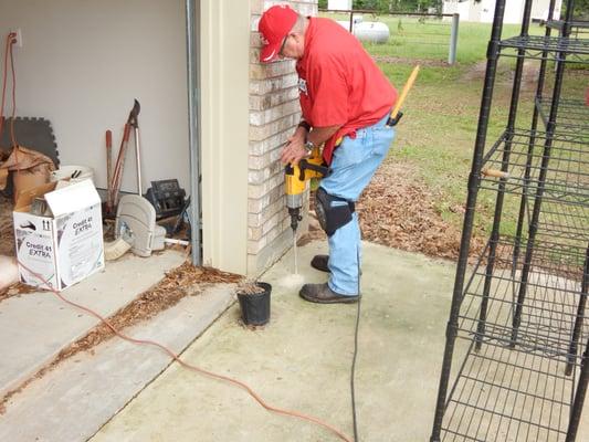 A Pest & Termite Management Specialists