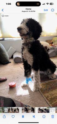 Wilco Farm Store - Springfield