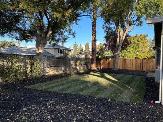 Fence Landscape Service