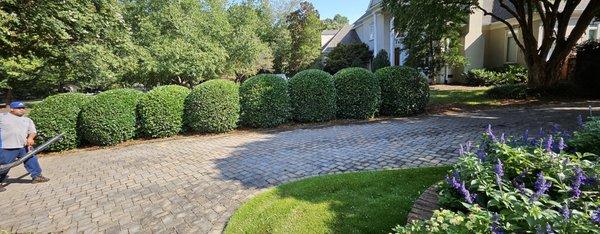 Showcase Business Group