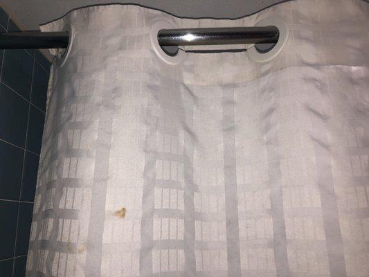 Nasty shower curtain