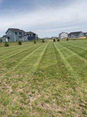 Cheesehead Landscapes