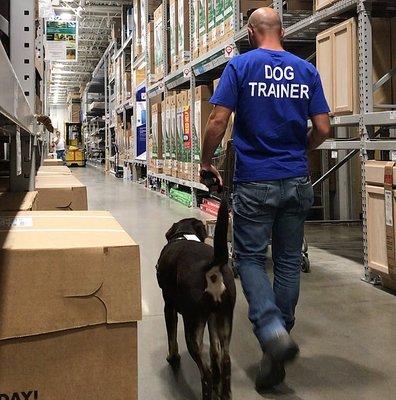 Jordan Knight Executive K9