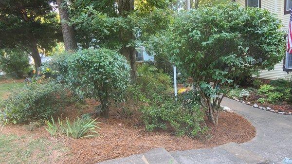 Brother Bear Tree Service And Landscaping