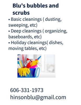 Blu Cleaning Services