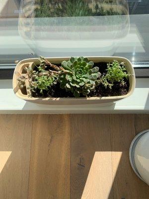 A month in their new environment!