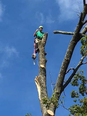 Dutton Tree Service